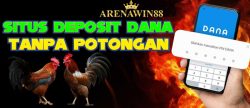 slot dana