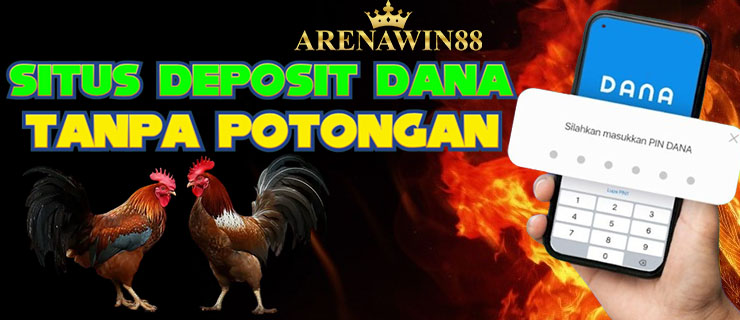 Slot Dana